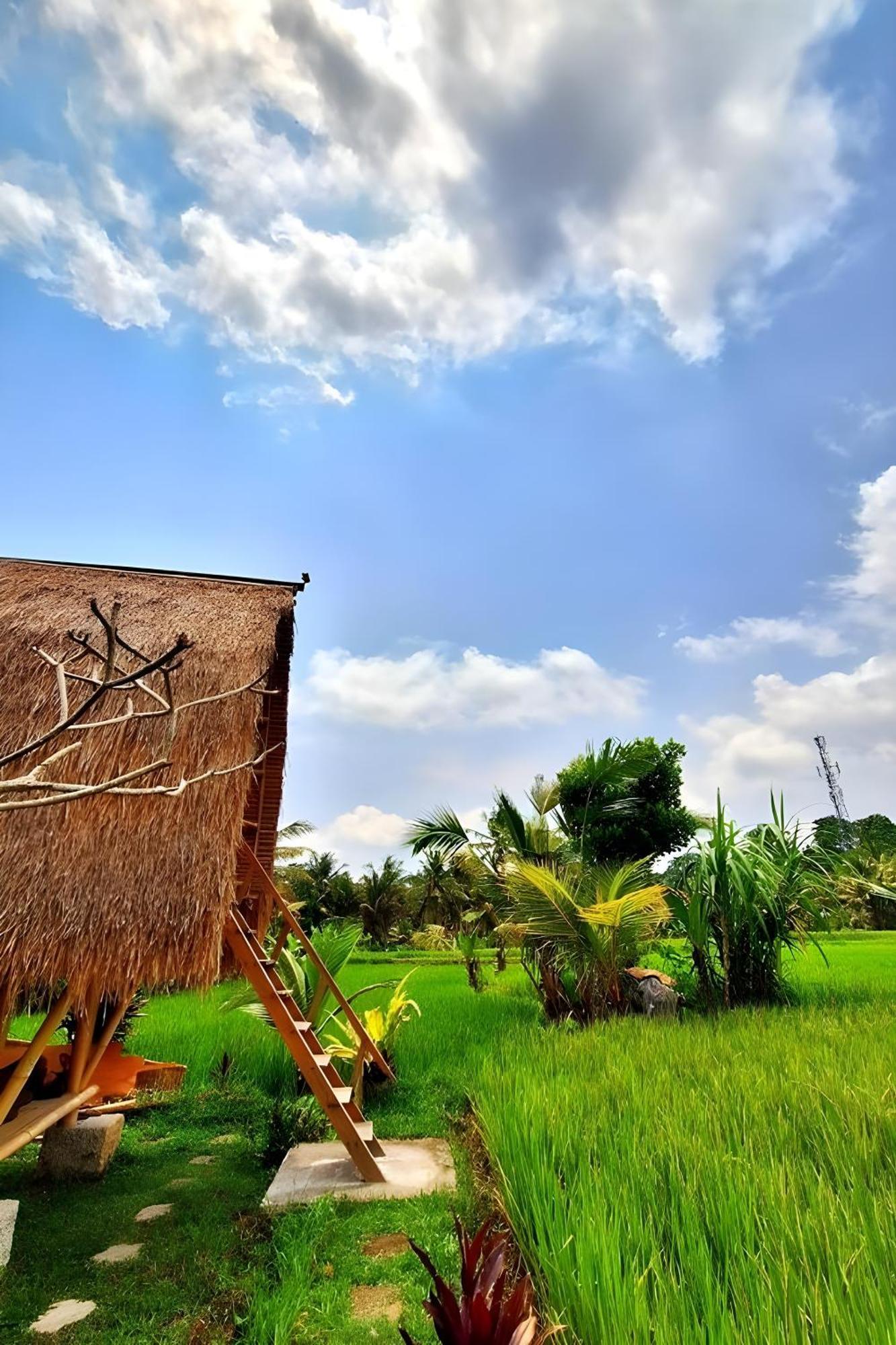 Lumbung Langit Bali House & Hostel Tampaksiring Ngoại thất bức ảnh