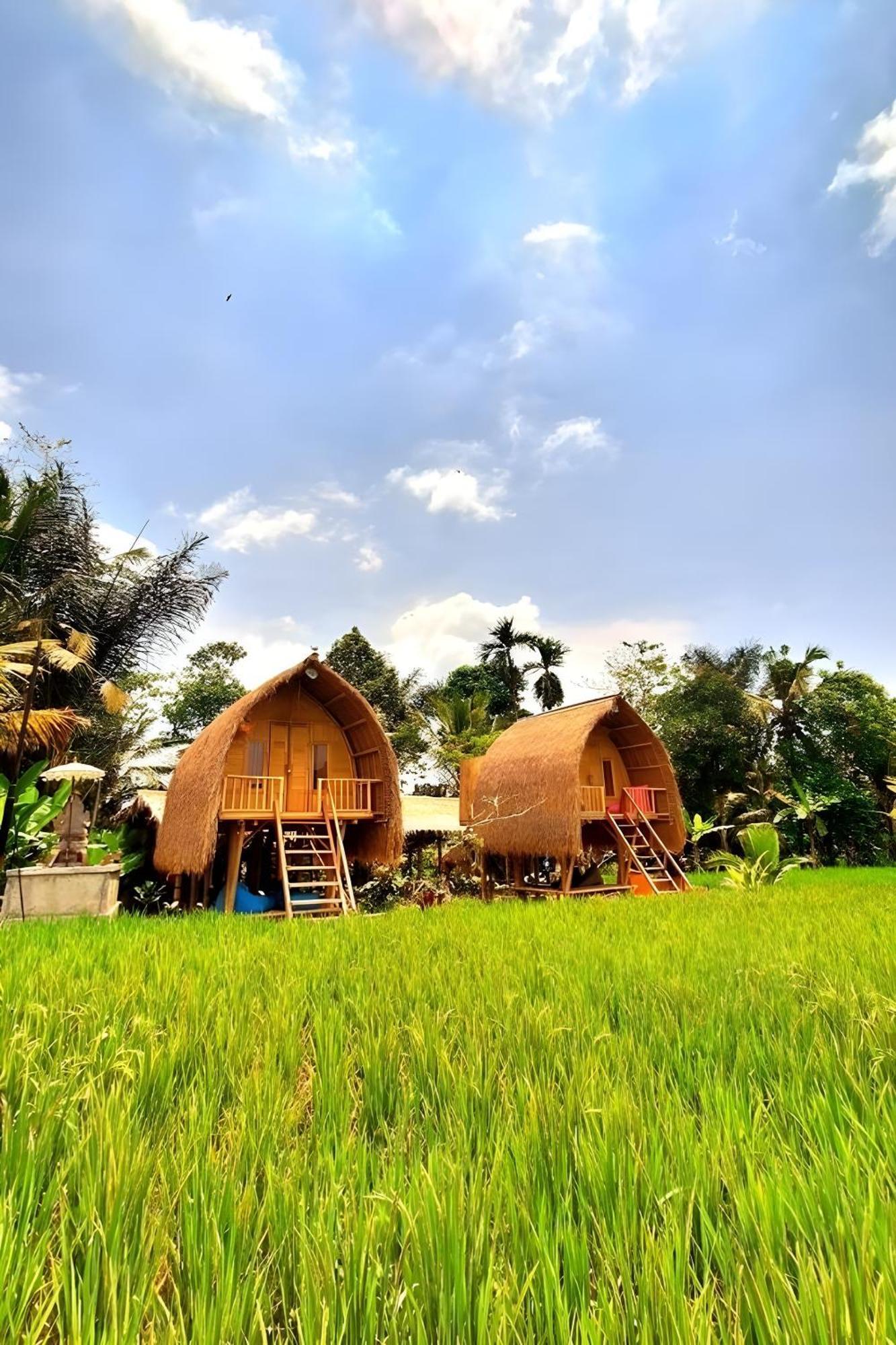 Lumbung Langit Bali House & Hostel Tampaksiring Ngoại thất bức ảnh