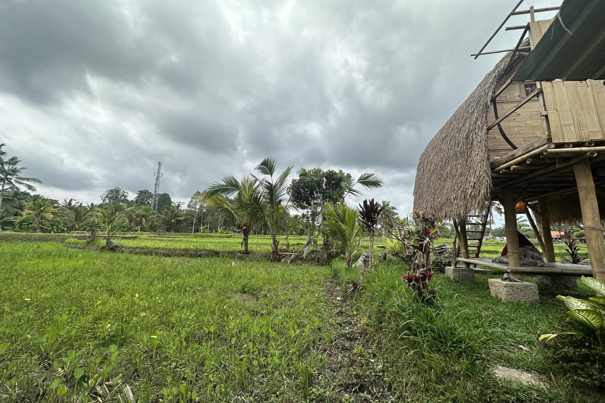 Lumbung Langit Bali House & Hostel Tampaksiring Ngoại thất bức ảnh